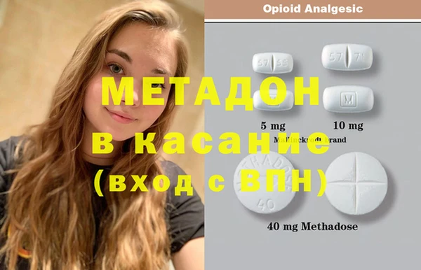 прущие грибы Белокуриха