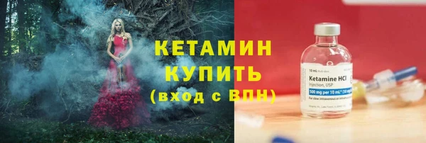 прущие грибы Белокуриха