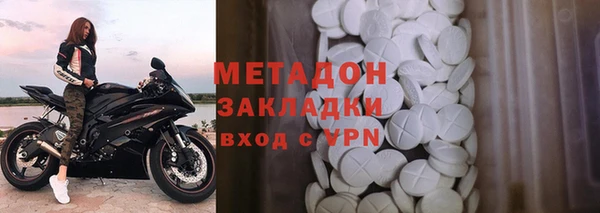 прущие грибы Белокуриха