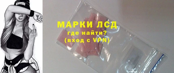 прущие грибы Белокуриха