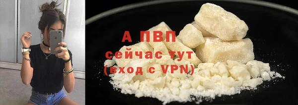 прущие грибы Белокуриха