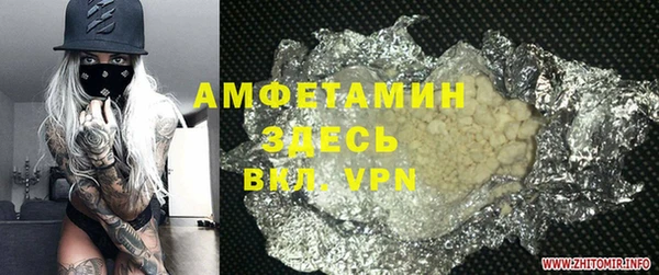 прущие грибы Белокуриха