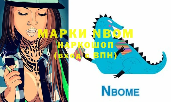 прущие грибы Белокуриха