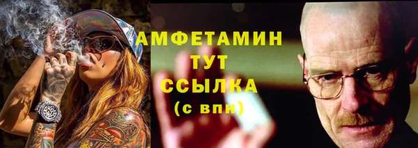прущие грибы Белокуриха