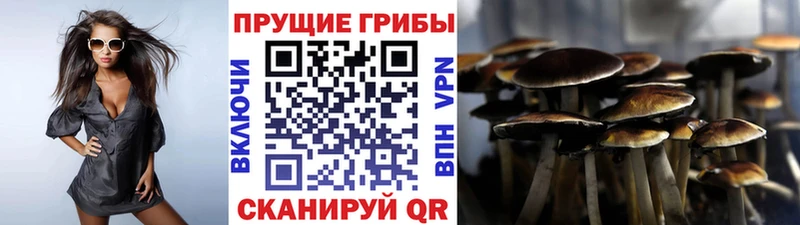 как найти наркотики  Каменск-Уральский  ссылка на мегу tor  Галлюциногенные грибы мухоморы 